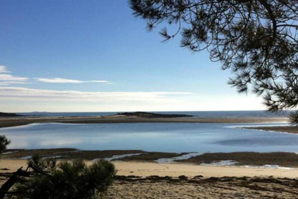 Maison avec jardin clos. Animaux acceptés - Wifi - Proche plages de la Trinité sur Mer et Carnac Esterno foto