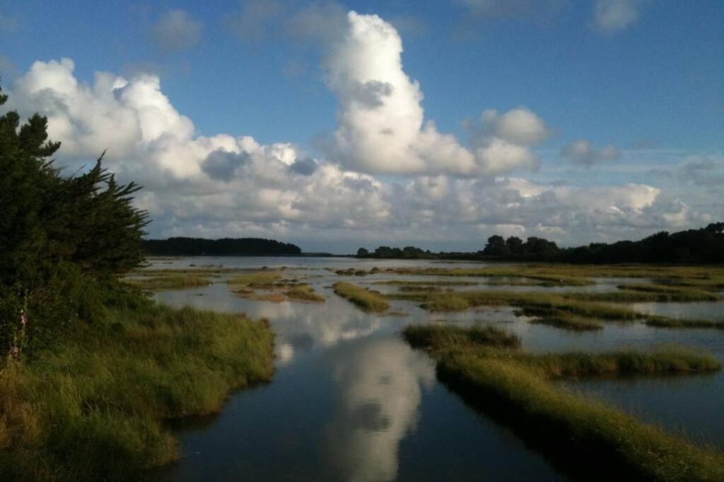 Maison avec jardin clos. Animaux acceptés - Wifi - Proche plages de la Trinité sur Mer et Carnac Esterno foto